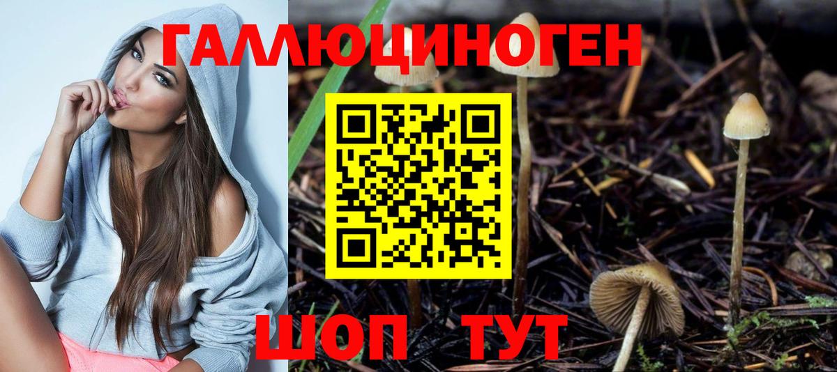 Псилоцибиновые грибы Psilocybe  Галлюциногенные грибы GOLDEN TEACHER  Вход с VPN  Усть-Джегута 